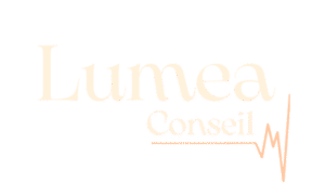 Lumea conseil - Expert comptable